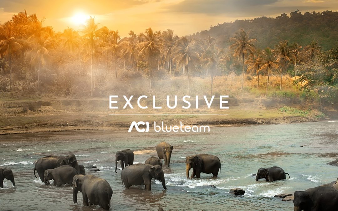 Exclusive: il nuovo brand ACI blueteam dedicato al Luxury Leisure